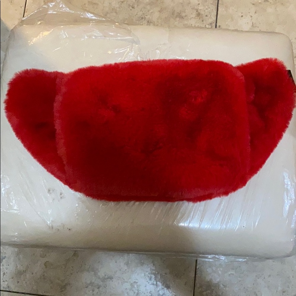 FannyPack - Picture 2 of 4